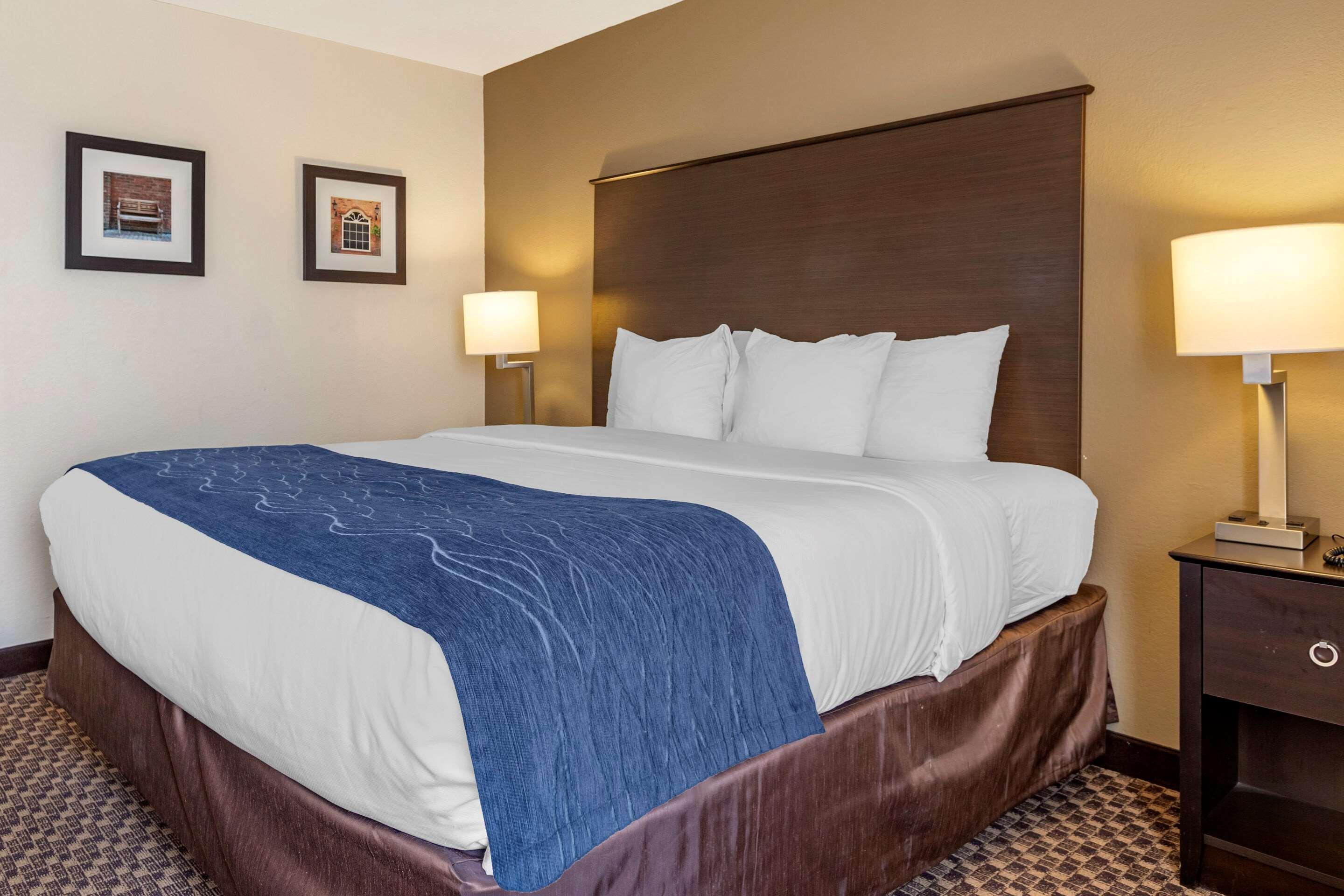Comfort Inn Wings Stadium Kalamazoo Ngoại thất bức ảnh